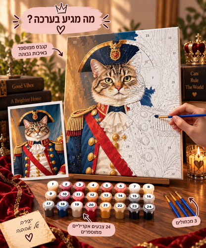 נפוליאון על 4 🐱🐾 | צביעה לפי מספרים בהתאמה אישית